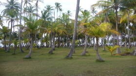 BBQ Island, Holandes Cays.