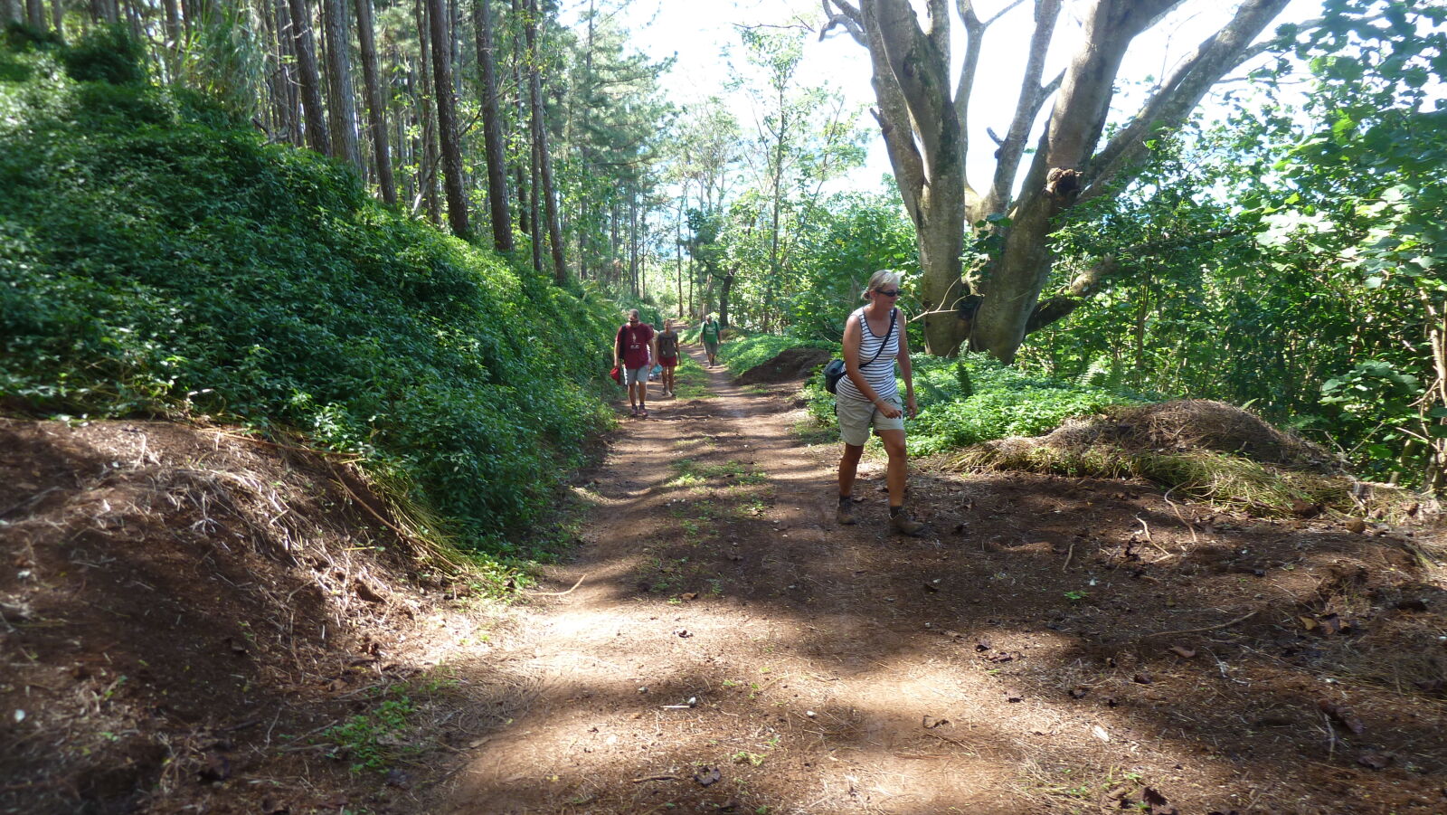 Besteigung des Mt. Pohue Rahi.