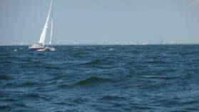 Andere Segler vor Rotterdam