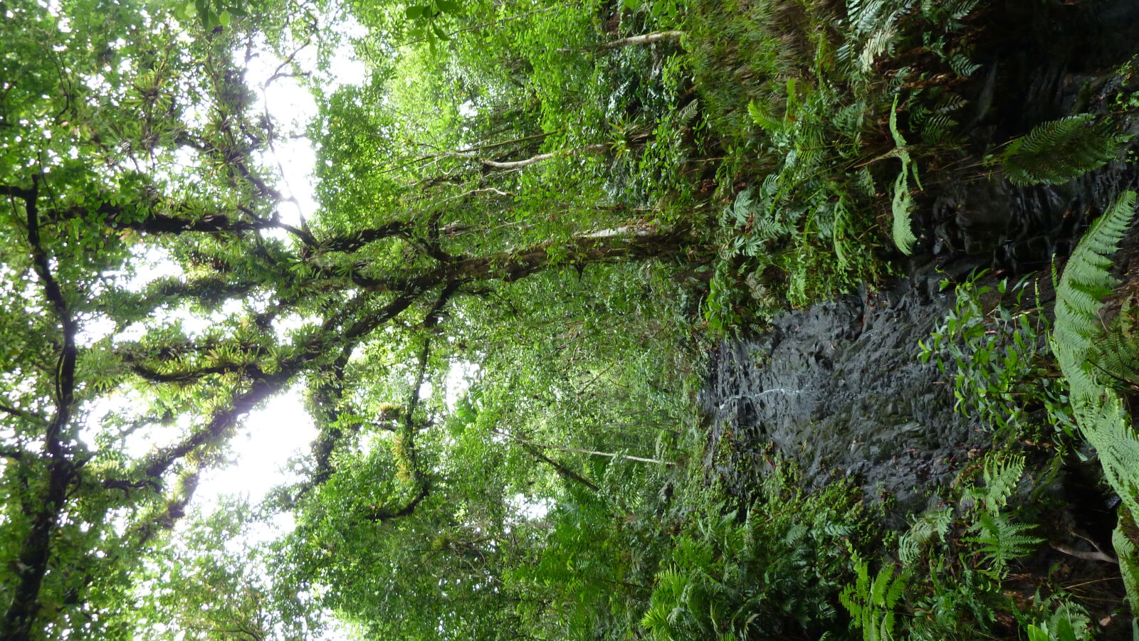 Wanderung zu Cascada Río Genio.
