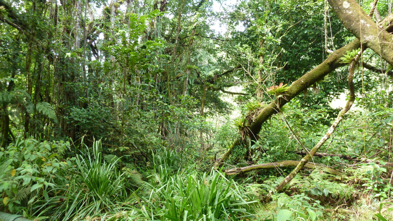 Wanderung zu Cascada Río Genio.