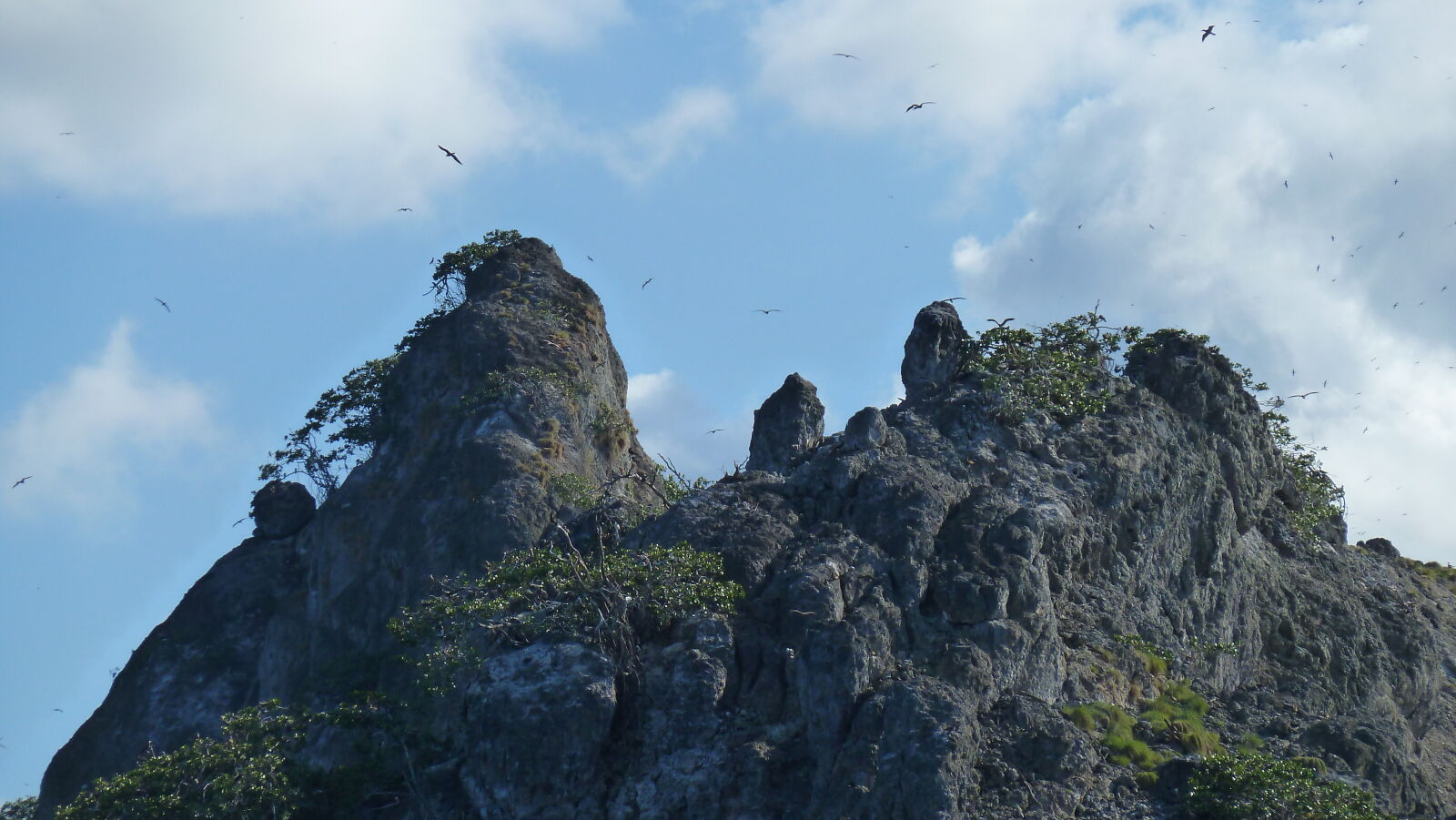 Isla Manuelita.