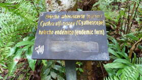 Wanderung zu Cascada Río Genio.