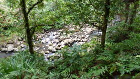 Wanderung zu Cascada Río Genio.