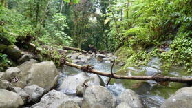Wanderung zu Cascada Río Genio.