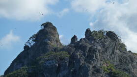 Isla Manuelita.