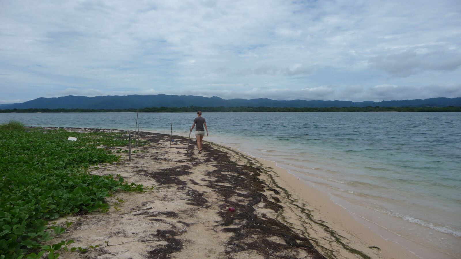Isla Pinos.