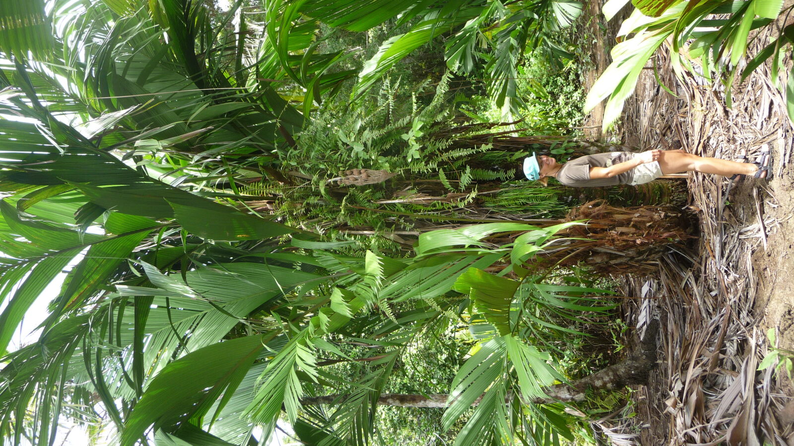Isla Pinos.