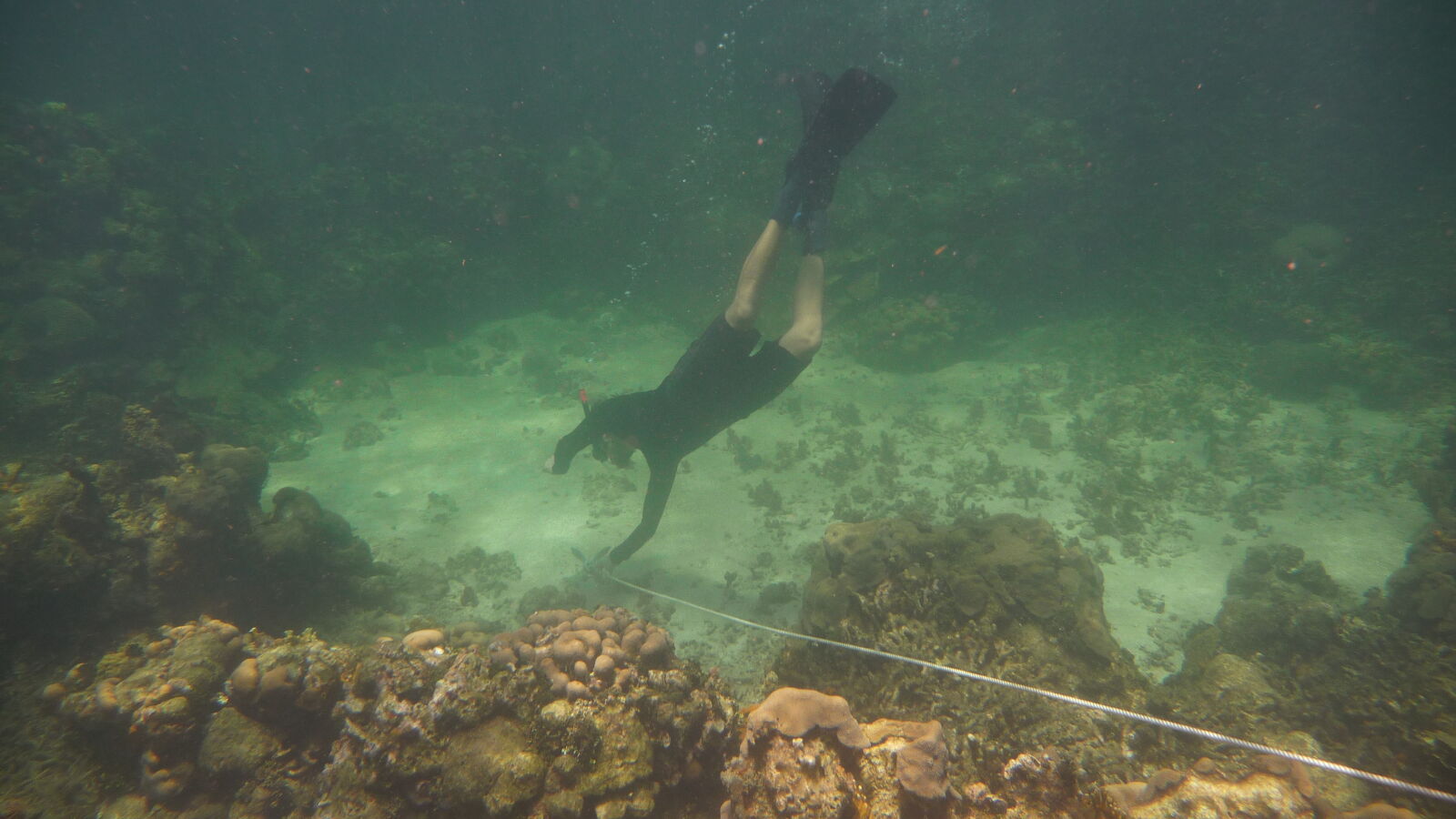 Schnorcheln bei Isla Roberto Caracol.