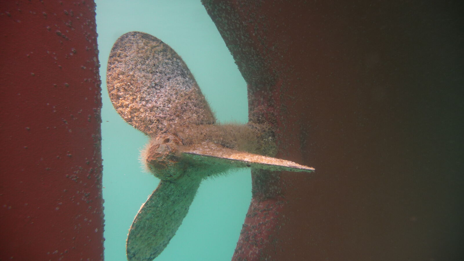 Unterwasserschiff reinigen nach 2 1/2 Wochen Cartagena.