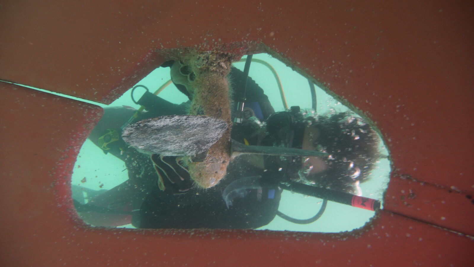 Unterwasserschiff reinigen nach 2 1/2 Wochen Cartagena.
