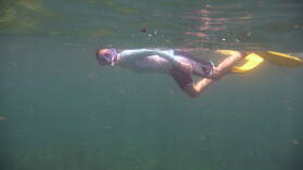 Schnorcheln bei Isla Roberto Caracol.