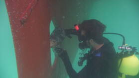 Unterwasserschiff reinigen nach 2 1/2 Wochen Cartagena.