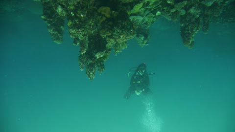 Islas del Rosario (CO)
