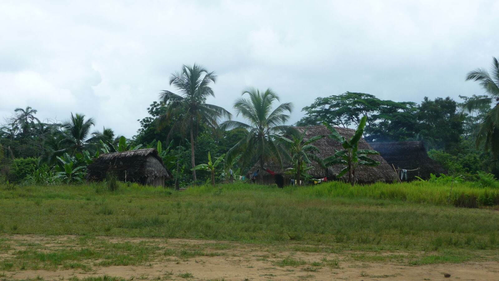 Mandinga.
