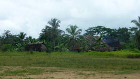 Mandinga.