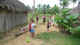 Mandinga.