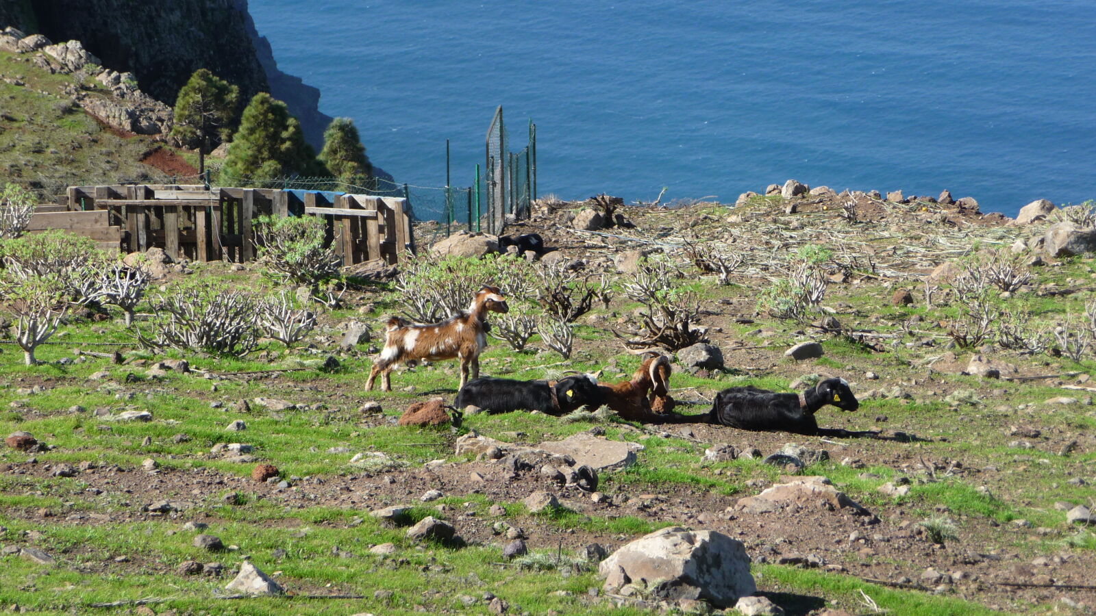 Valle Gran Rey.