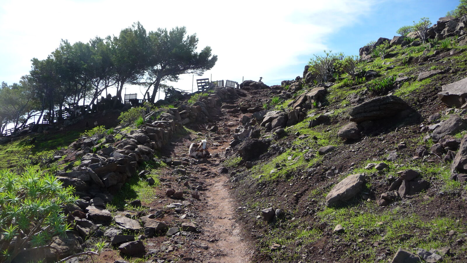 Valle Gran Rey.