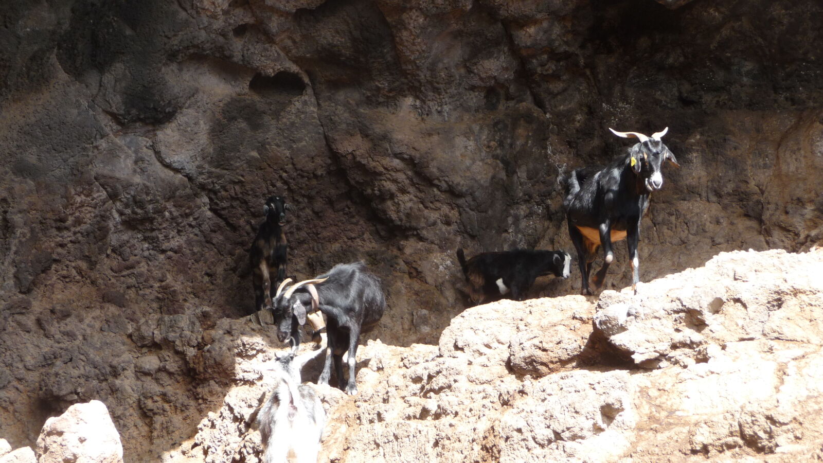 Valle Gran Rey.