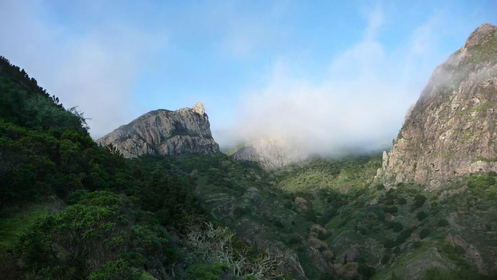 Parque Nacional de Garajonay.