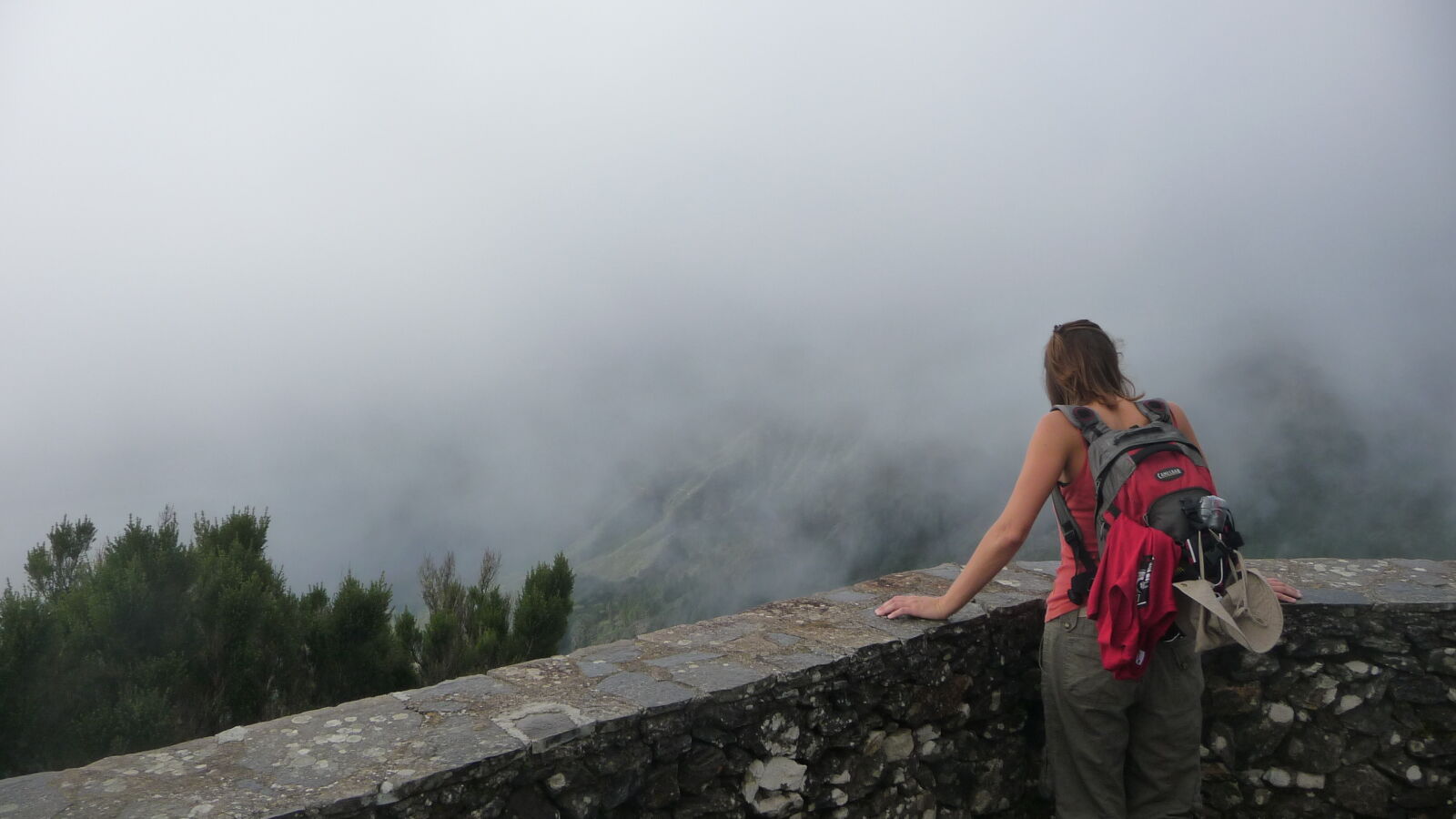 Parque Nacional de Garajonay.