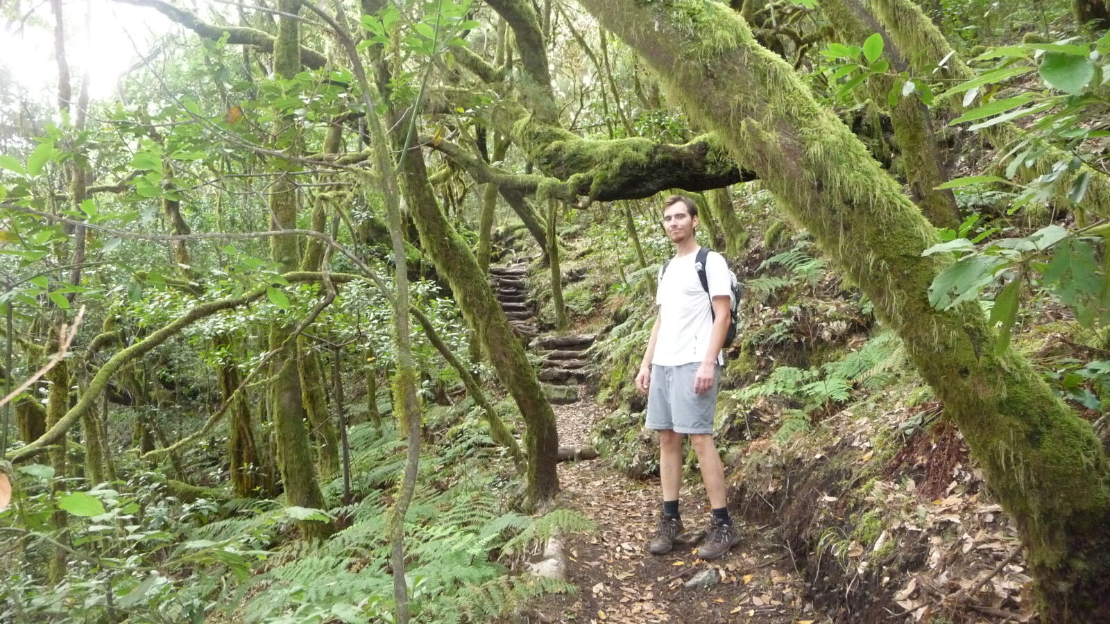 Parque Nacional de Garajonay.