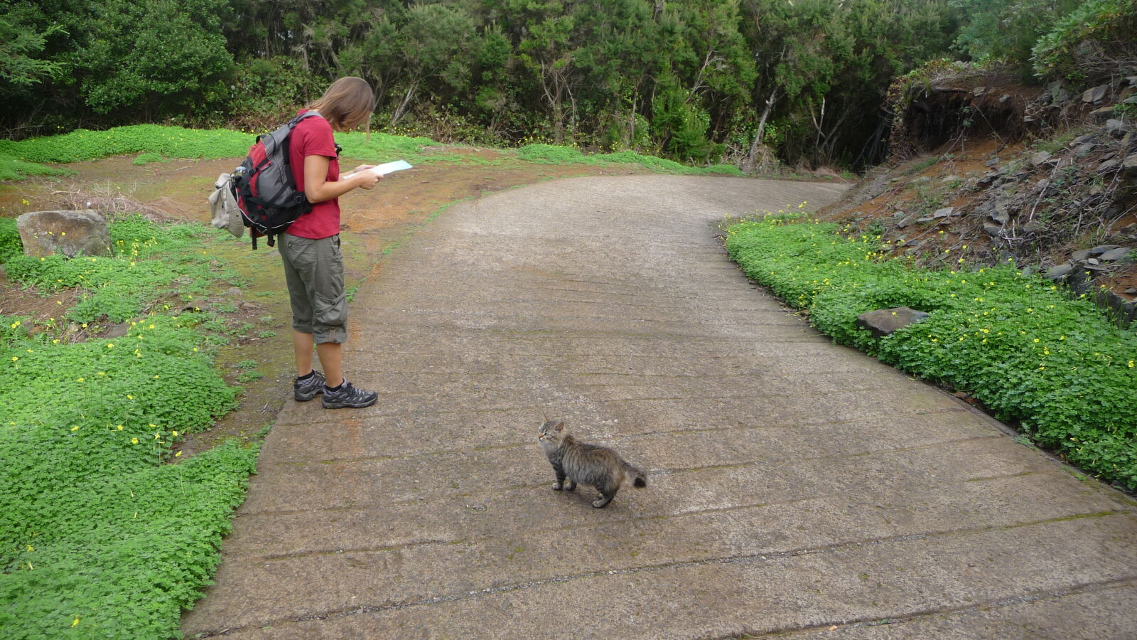 Parque Nacional de Garajonay.