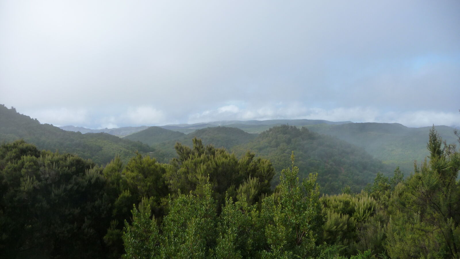 Parque Nacional de Garajonay.
