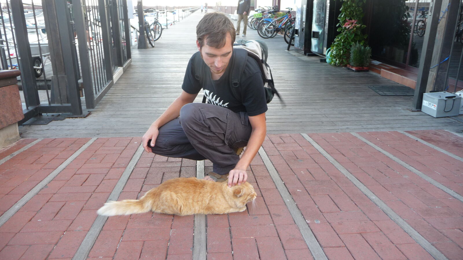 Hafenkater von San Sebastián, La Gomera.