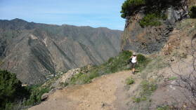 Roque Cano.