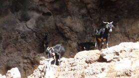 Valle Gran Rey.