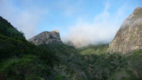 Parque Nacional de Garajonay.