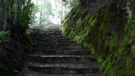 Parque Nacional de Garajonay.