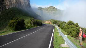 Parque Nacional de Garajonay.