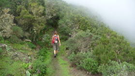 Parque Nacional de Garajonay.