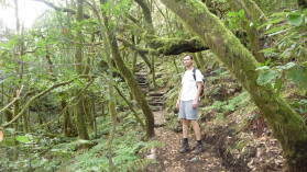Parque Nacional de Garajonay.