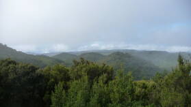 Parque Nacional de Garajonay.