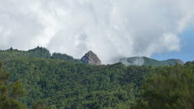 Parque Nacional de Garajonay.