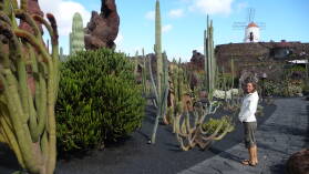 Jardin de cactus.