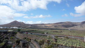 Jardin de cactus.