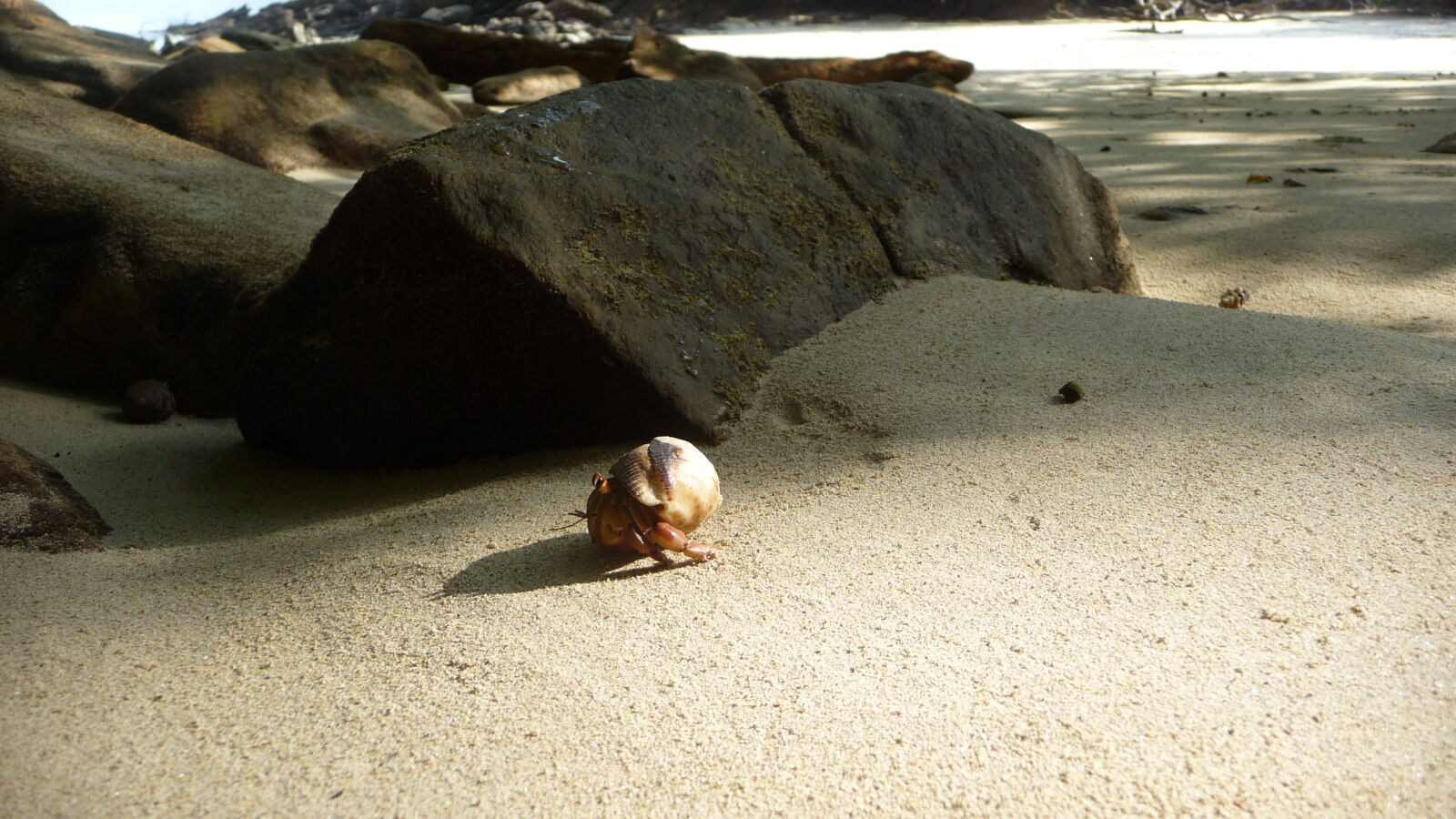 Isla Espiritu Santo.