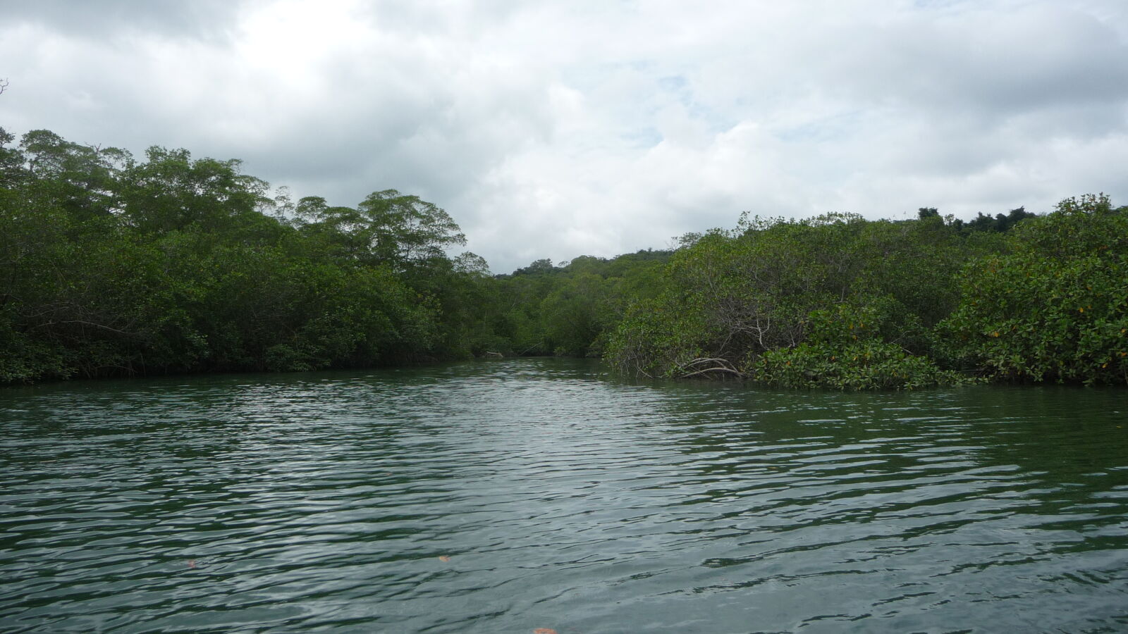 Isla del Rey.
