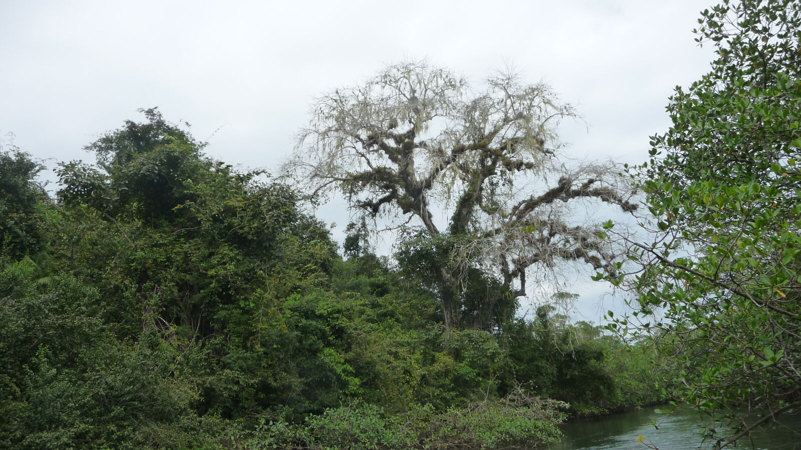 Isla del Rey.