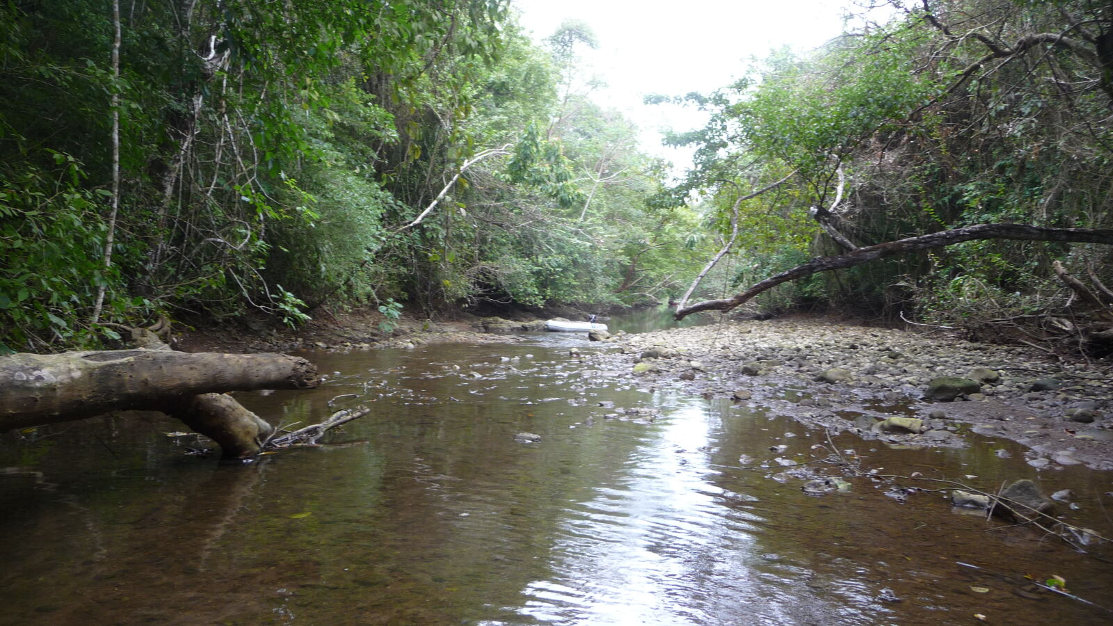 Isla del Rey.