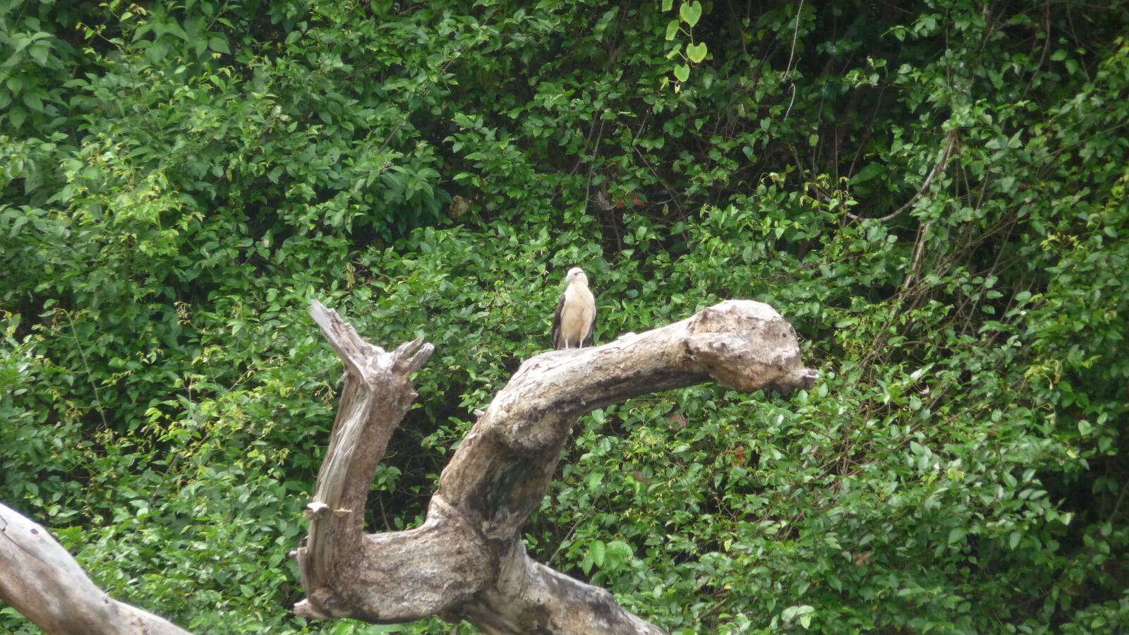 Waschplatz auf Isla del Rey.
