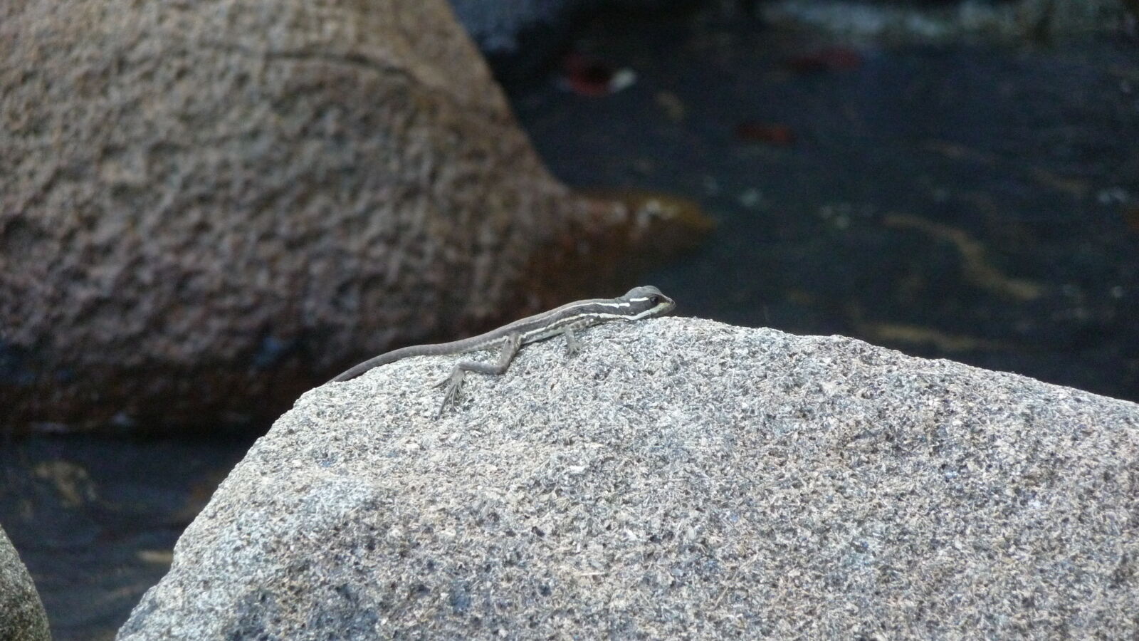 Waschplatz auf Isla del Rey.