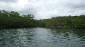 Isla del Rey.