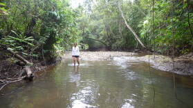 Isla del Rey.