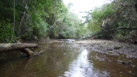 Isla del Rey.